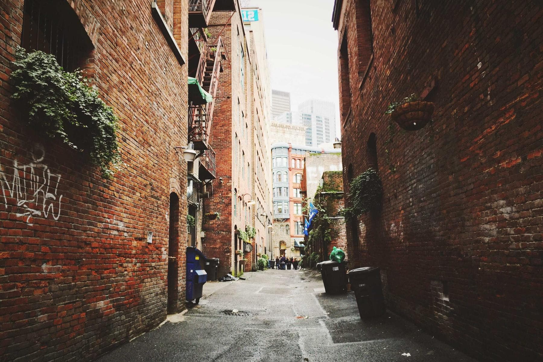 Ognisko i grill po kuligu